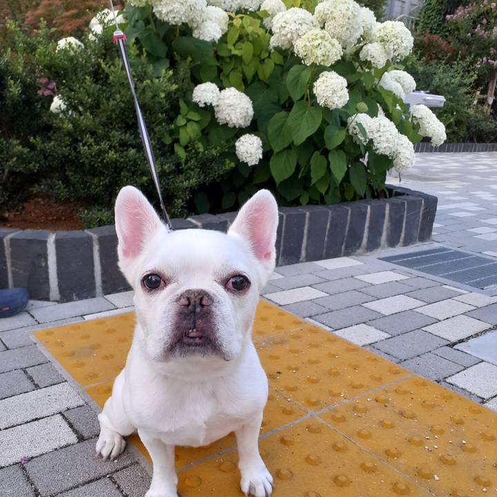 71c88593 0183 4675 9534 0924eeddaa19 1718533198499