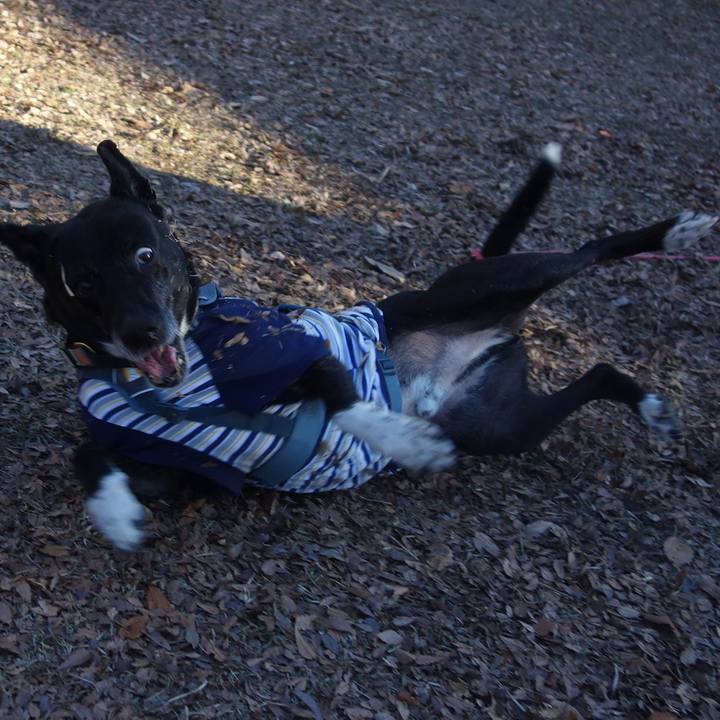 71c8a22f 7770 41f1 9779 33408aff5c51 1737073818353