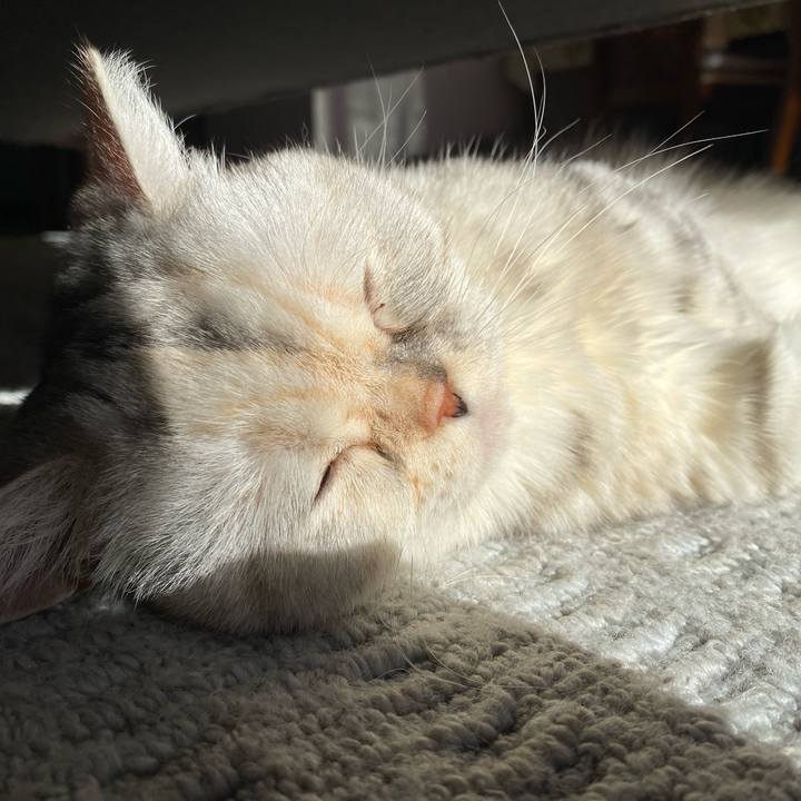 71c8a8c1 9dd1 476a b0f3 e0e5abeefc99 1739232917479