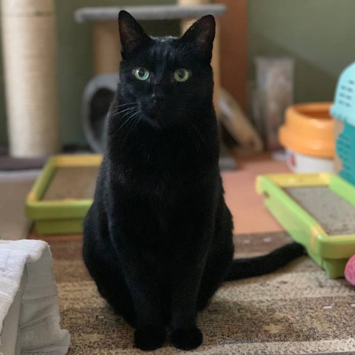 71c8bdfb a6ef 46ce b84b de900ae55962 1579139742226