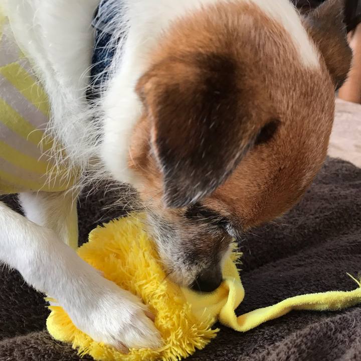 71c8e2e3 7b87 4038 9cd3 1e56ead3efbb 1538114688874