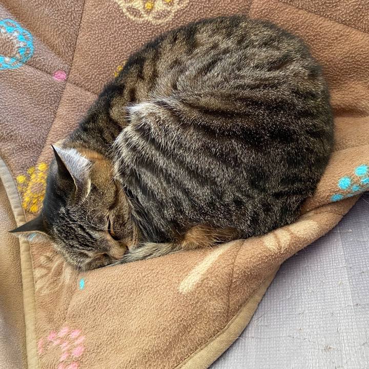 71c8f8d9 b015 4c1f ab52 2861f2002cac 1641564647150