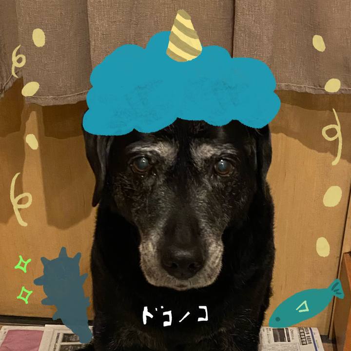 71c8ff94 3fea 43b9 81d9 1c6533d6a654 1707298650020