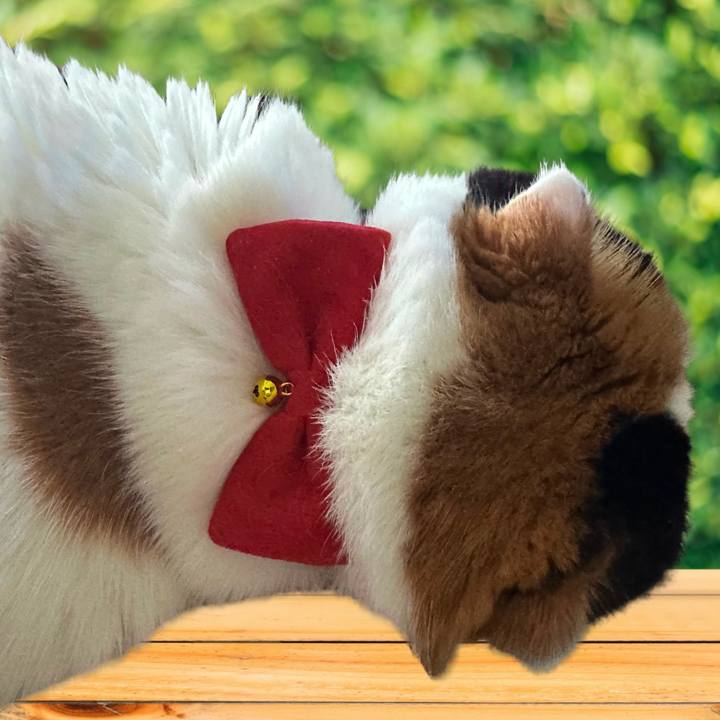 71c90d10 3345 43af befd 4d5e1e4ff4ff 1735716788492