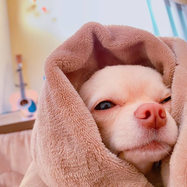 71c9814d 2e86 47ea 812f 213d4efeb9db 1614132303657