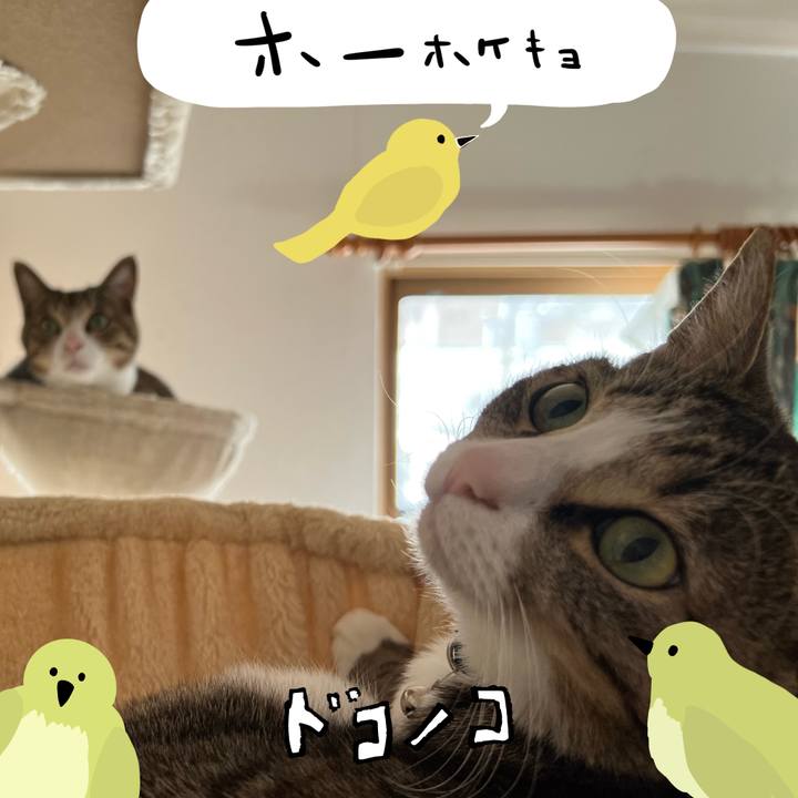 71c983b3 c496 468f 8f5c ce242227de45 1710990331612