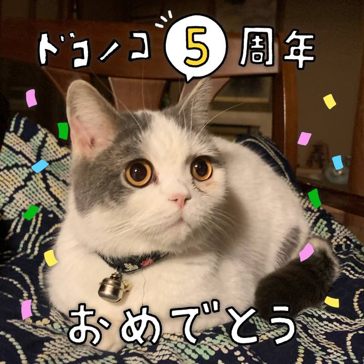 71c9b440 422a 4458 be91 e9777c416d79 1622881672341