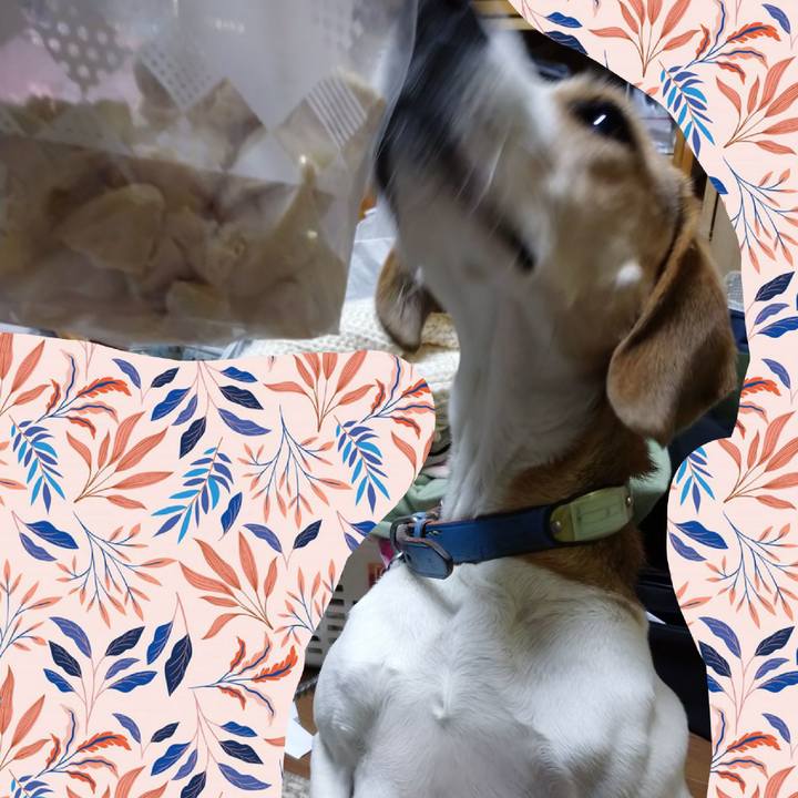 71c9da25 17f7 4f34 b2cf fca70b0d1ee4 1607340136358