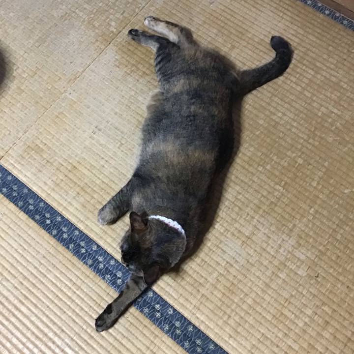 71c9e080 54cb 4ca4 9880 893c3a0031ec 1751804169717