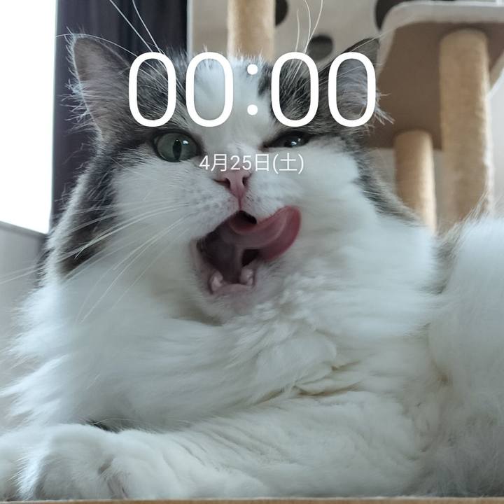 71ca347f fa7d 4b9e 8cb9 19dc81fa2b73 1777042907302