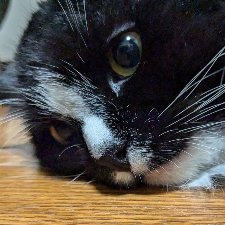 71ca4aa2 6469 4984 87ac 6f64b6fd2c1b 1721474436453