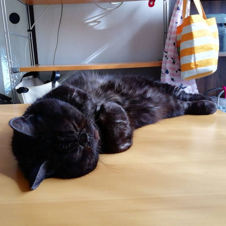 71caab20 72a9 4897 8895 5bb488dd642b 1639906374661