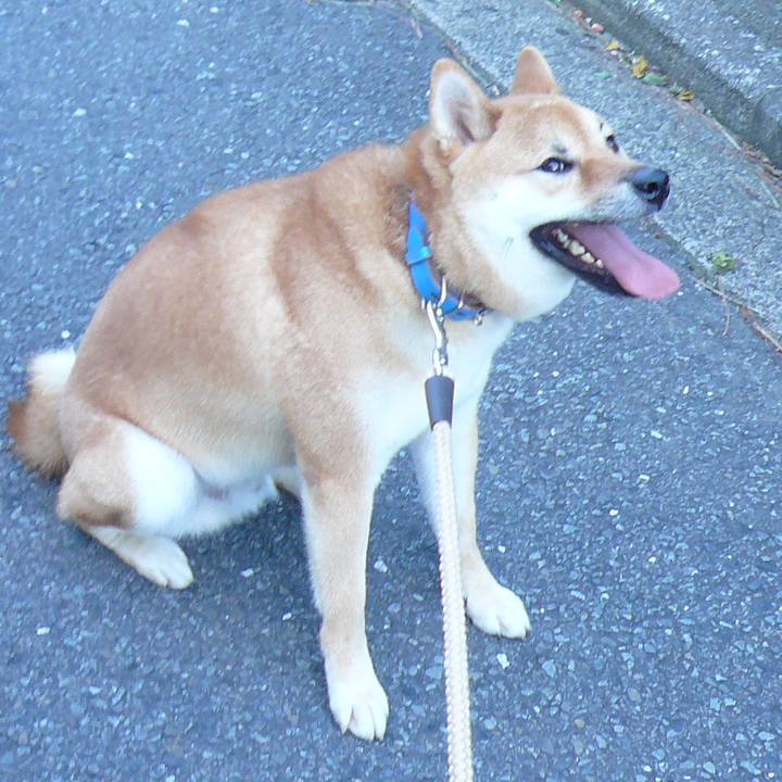 71cabd3f 04ac 4f33 b326 c024525ba628 1628639352733