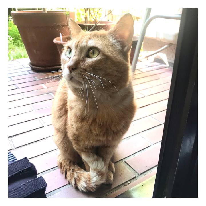 71cabe0d edfd 4f45 be37 364816254a9d 1651556017665