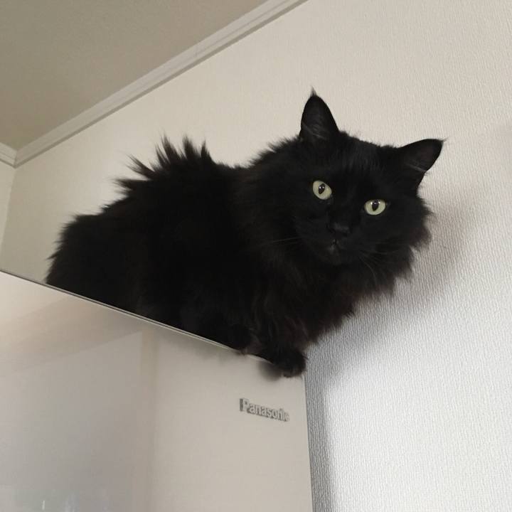 71cac207 f7b8 4b28 b474 c7c77e3011ce 1552238570176