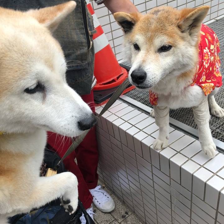 71cae43e f815 4c15 999f 2e4d921fc983 1563358126610