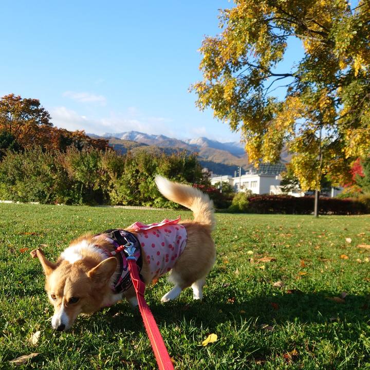 71caf426 8c86 4598 bcff b0bd484bd4e1 1760916623467