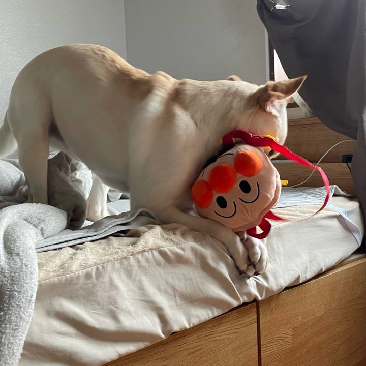 71cafc3c b8fd 4ab5 a53c fef9df14d466 1660432006143