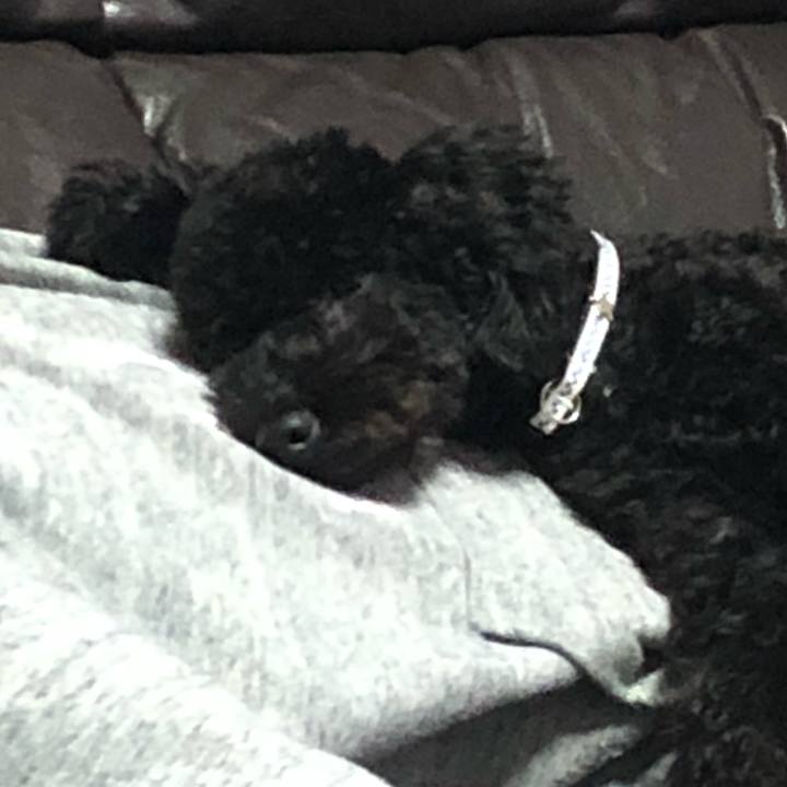 71cb1c29 6813 4bda b652 8cfc903da8e5 1512558438083