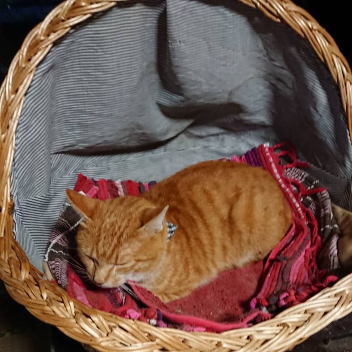 71cb1f3f 54da 4255 a2bb e907d1e9298c 1569053392078