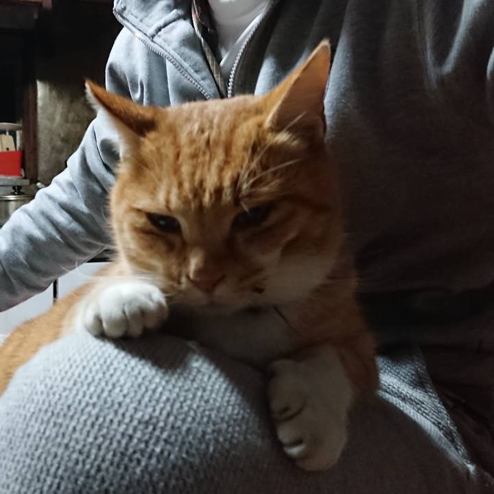 71cb312f aa2f 42cd 9a1e e4b4353f7c93 1605731283400