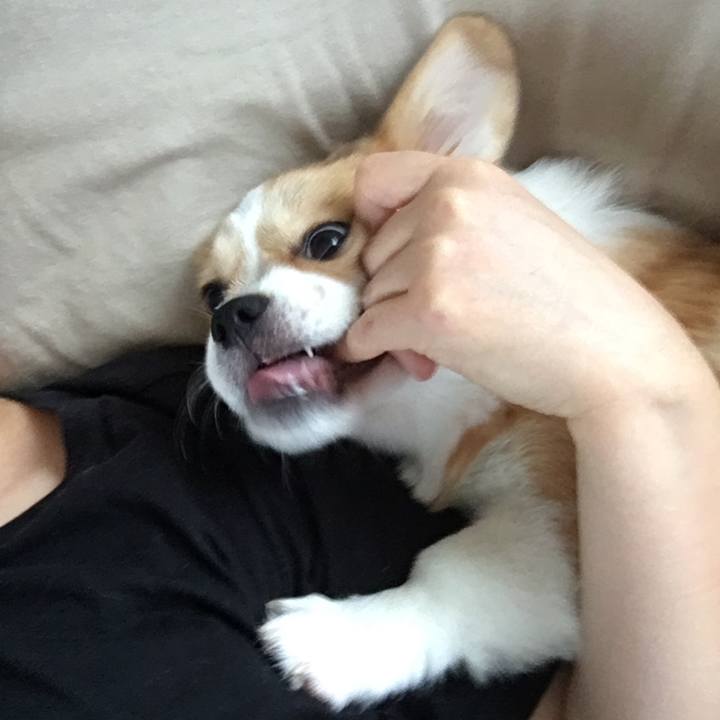 71cb50b3 3d4d 4998 b948 ee9414ccf4e2 1562191919235