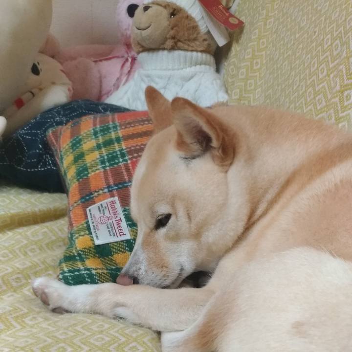 71cb5eb9 edd8 4982 ab5b 0cc63a923aca 1574495698188