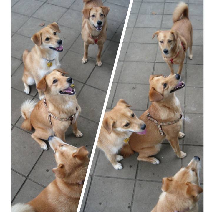 71cb890f 2510 48e1 a886 46cfae554222 1533355945693