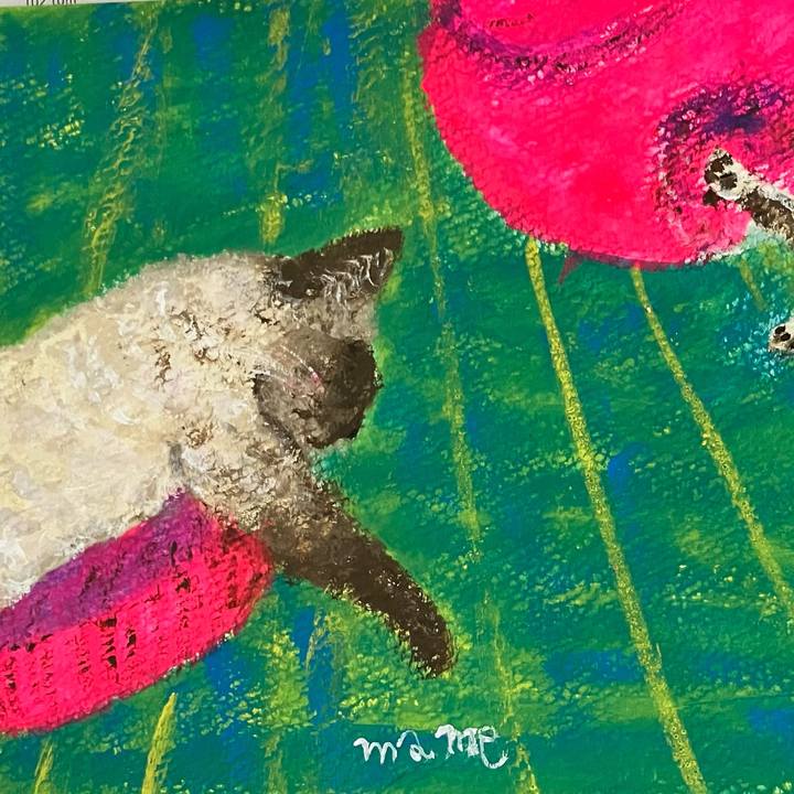 71cb8fee b844 4ce8 949a d0ac93678655 1722424558600