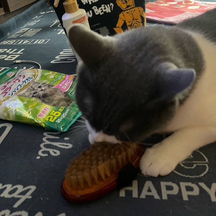 71cb907a eeca 4c15 ab97 8ac22bb1d66d 1719707467347