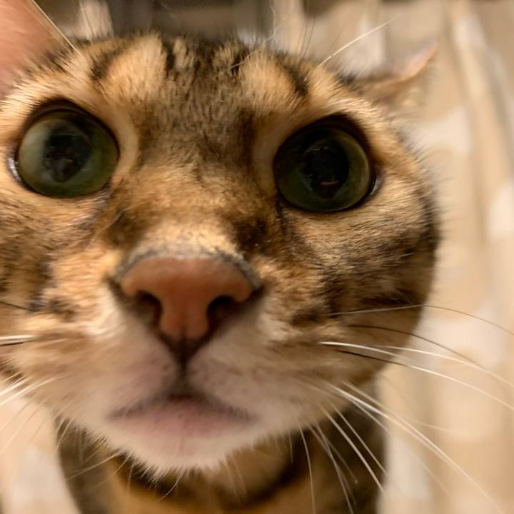 71cbcb34 1611 4826 afd6 107d51645bb0 1573260843605