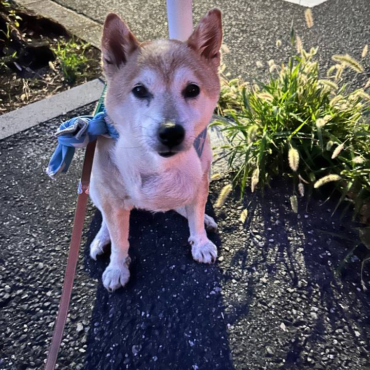 71cbd558 eff5 4d38 8e3e af6fa968ef08 1755426202291