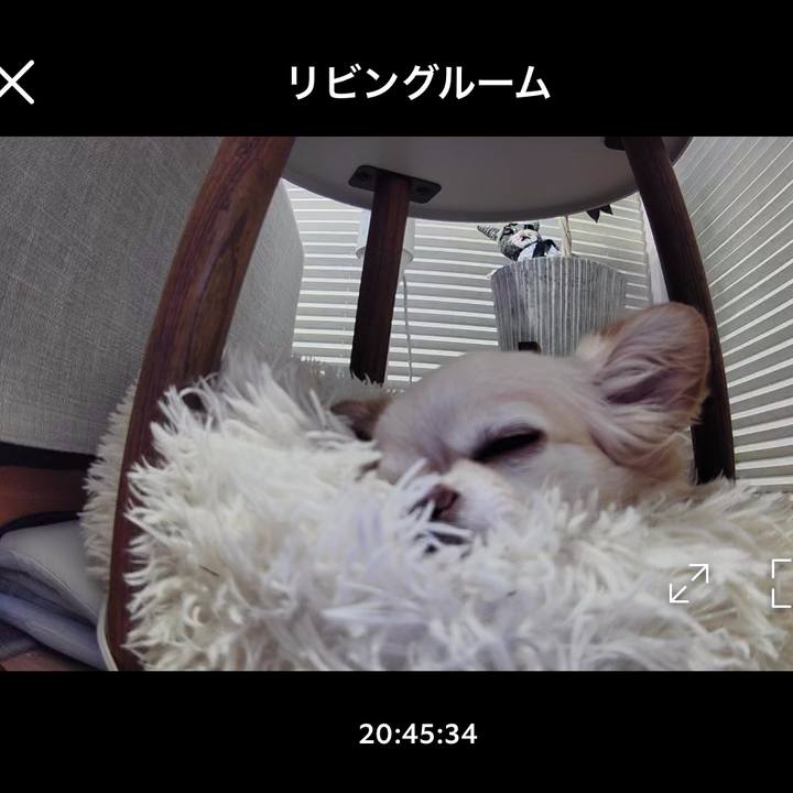 71cc5070 2972 41de ade0 bbf4ca748c43 1747741581145