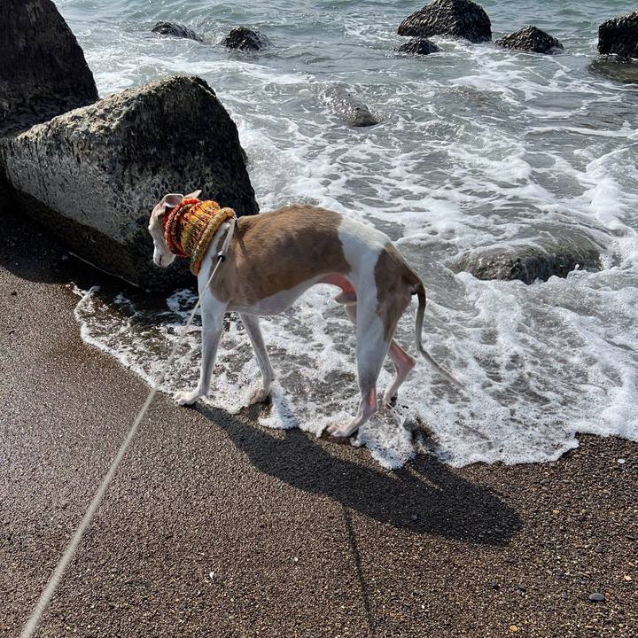 71cc6091 6aae 4ef0 9a23 b79c60b6bb6c 1773994790591