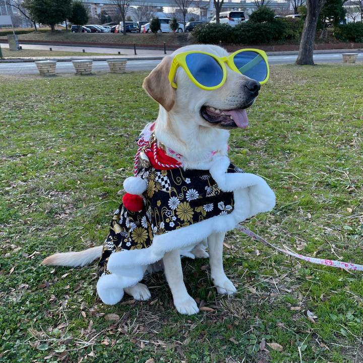 71cca81c 0515 4bca b4ce 81089559e41e 1641532782411