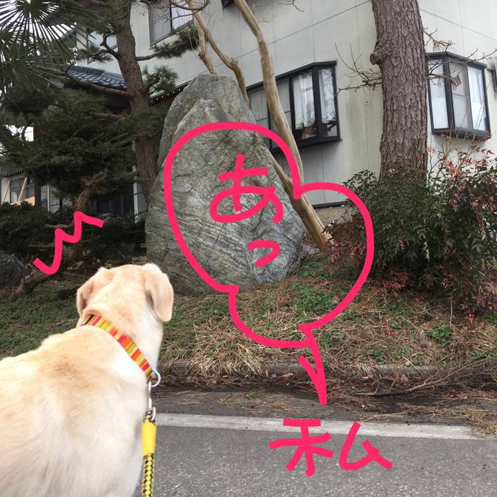 71ccb4ad c556 4580 9625 66b69a9fdcf9 1521362531746