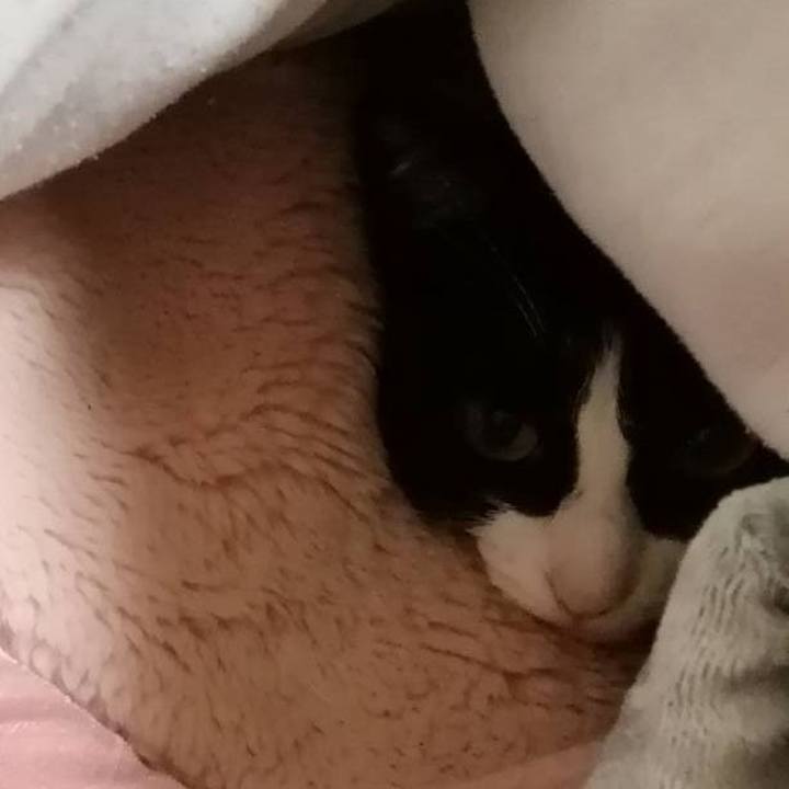 71cd0445 07ce 435b 80de 1840923a82bb 1575689961326