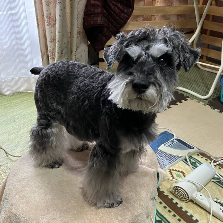 71cd5256 a3ac 4caa af99 4292d7df3a60 1732976827463