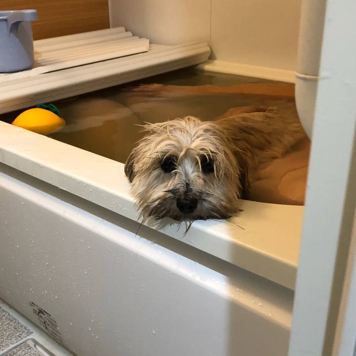 71cd6e09 2847 488e adbe 1b483bd392ae 1514207544699