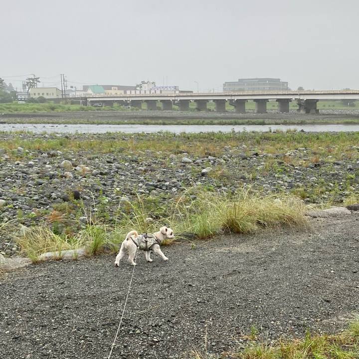 71cd8ad5 a11a 49a8 9a66 68f7c32b93b8 1655976879029