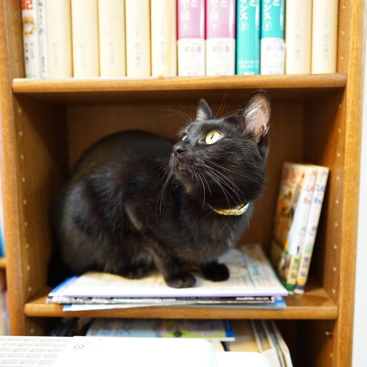 71cd8c23 fb70 41e3 9464 b79838bf6cd5 1547178358308