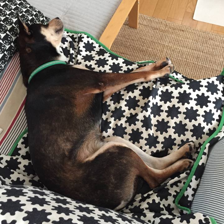 71cdf179 1870 45df 9d16 32d4c651ab8e 1538194294722