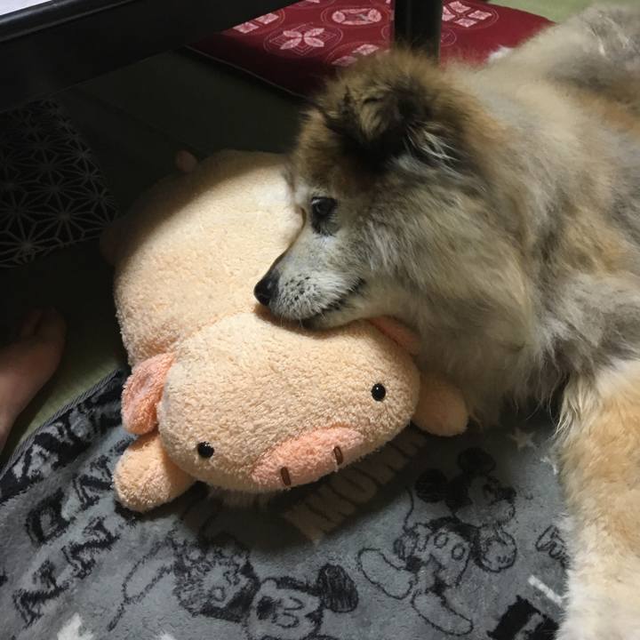 71cdf883 153c 4f0c abcf be73cc7bbe79 1583625398474