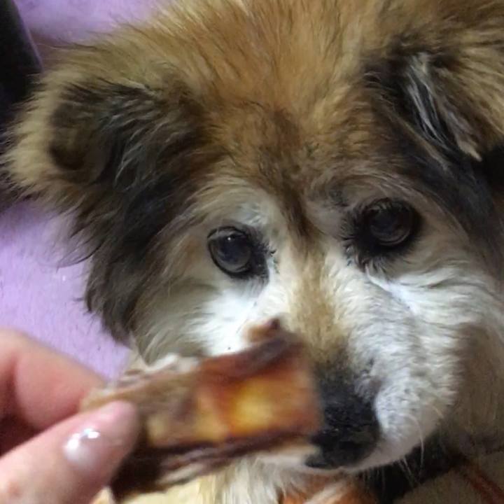 71ce103d 2b52 468d 996a daabda8433a1 1583343459944