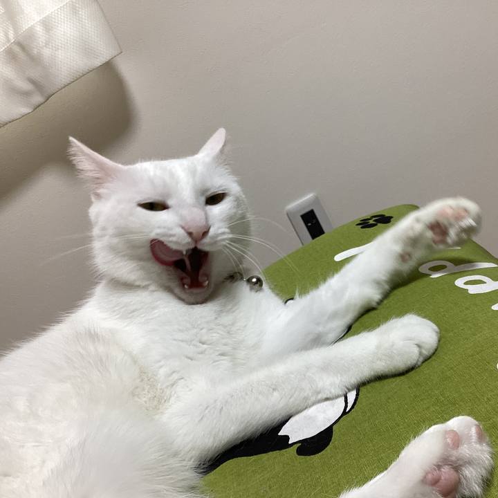 71ce4df9 4f61 4a21 8a1a f05a015d88ea 1679856267253