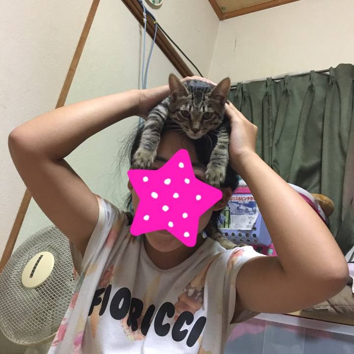 71ce61fa 90a8 49cd 9f5e d7e9d3415f65 1537543353424