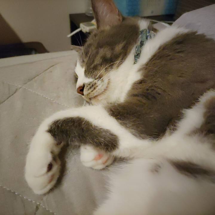 71ce7187 4cd3 45d5 8595 62e8526502ce 1690495815207