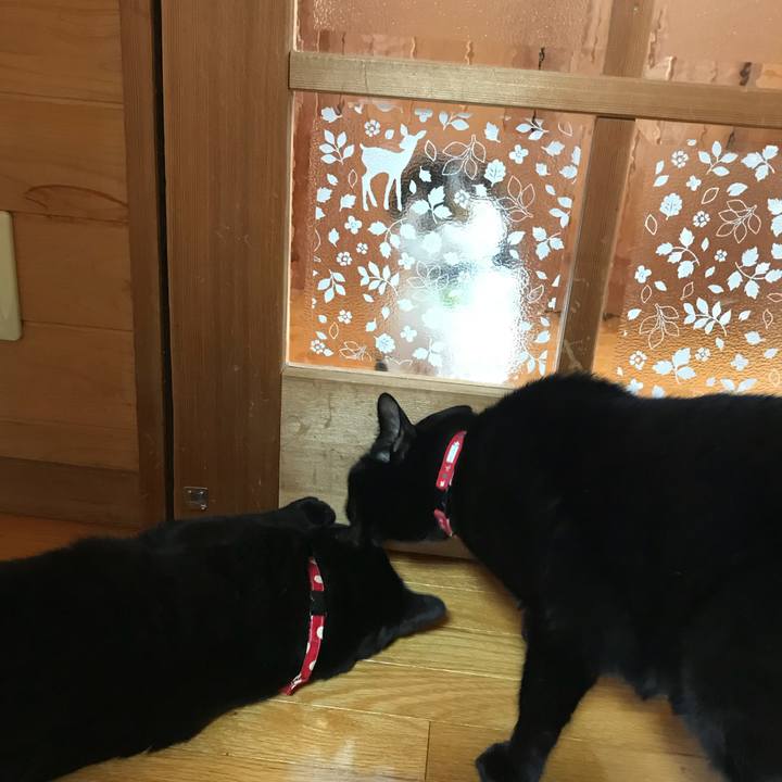 71ce8037 ca6b 4762 a75a fc8e7ad580a6 1519958304773