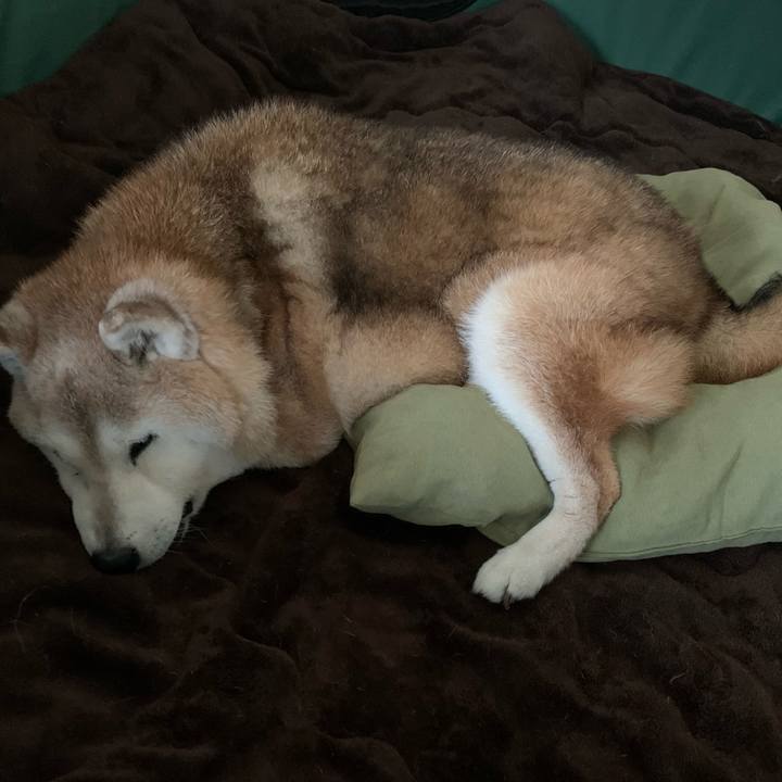 71ce82ae e688 4b05 a7a1 f0bb6e32bd31 1698159901124