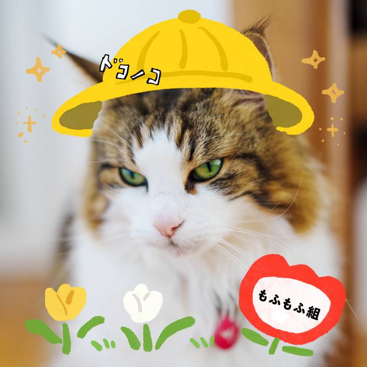 71cefb88 08f4 466e 9840 2900fae30fb6 1712736742249